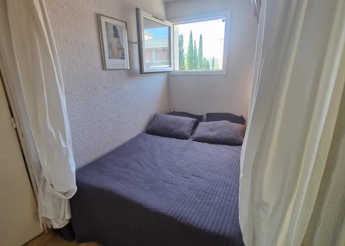 Cosy Avec Balcon Et Parking, Animaux Admis, Pres Des Plages A - Fr-1-780-7 圣马克西姆